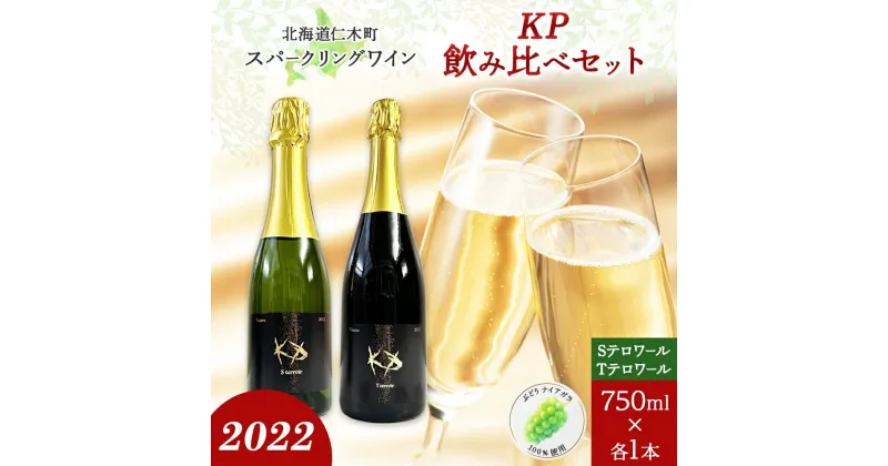 【ふるさと納税】北海道産 スパークリング ワイン 750ml 各1本 KPワイン T S テロワール ぶどう ナイアガラ 葡萄 ブドウ 白ワイン 辛口 酒 お酒 贈答 贈り物 お祝い ギフト 記念日 送料無料　仁木町　お届け：2024年3月中旬より順次出荷