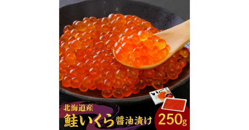 【ふるさと納税】北海道の味 旨味 新鮮 逸品 いくら 醤油漬け 250g 秋鮭 イクラ さけ サケ 魚卵 魚介 海鮮 いくら丼 手巻き寿司 ちらし寿司 お寿司 軍艦 和風パスタ サラダ ごはんのお供 単品おせち 冷凍 贈り物 ギフト プレゼント お取り寄せ 北海道 余市町 送料無料