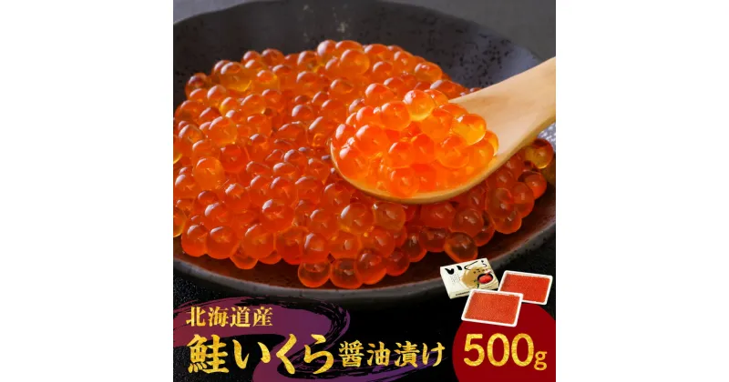 【ふるさと納税】北海道の味 旨味 新鮮 逸品 いくら 醤油漬け 500g 250g×2 秋鮭 魚卵 魚介 海鮮 手巻き寿司 ちらし寿司 冷凍 特製醤油ダレ 濃厚 旨み プチプチ 食感 いろんな食べ方 白米 大根おろし いくら丼 ちらし寿司 ギフト お取り寄せ 北海道 余市町 送料無料