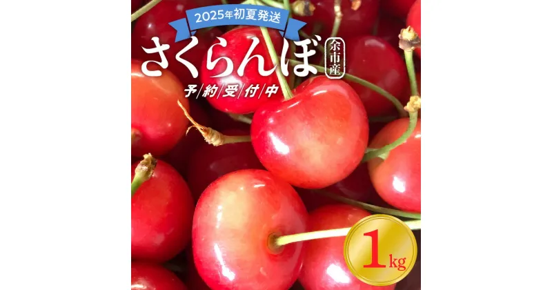 【ふるさと納税】【2025年初夏発送】 さくらんぼ 毎年大好評！ こだわりの 東谷農園 余市産 さくらんぼ 500g × 2パック 合計 1kg フルーツ 果物 果実 チェリー 美味しい 旬の味覚 北海道 東谷農園 国産 お取り寄せ お取り寄せフルーツ 送料無料