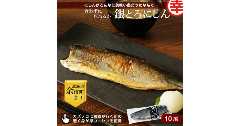 【ふるさと納税】にしんがこんなに美味い魚だったなんて・・・食わずに死ねるか「銀とろにしん」 にしん ニシン 魚 冷凍 魚介 伝統 焼き魚 海鮮 ご当地グルメ 肴 おつまみ ご飯 ごはん お酒 煮物 素干し 脂 乾物 ギフト プレゼント お取り寄せ 北海道 余市町 送料無料