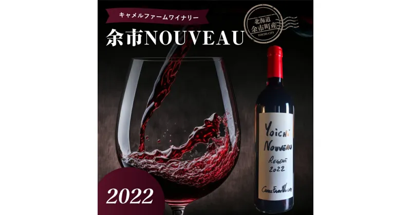 【ふるさと納税】余市町産 ぶどう使用 余市 NOUVEAU 2022 750ml キャメルファーム レジェント100% 北海道 ワイン 赤ワイン ヌーヴォー 果実味 お酒 アルコール ギフト 贈り物 プレゼント 記念日 ピスタチオ 手土産 母の日 父の日 敬老の日 家飲み 家族 お取り寄せ 送料無料