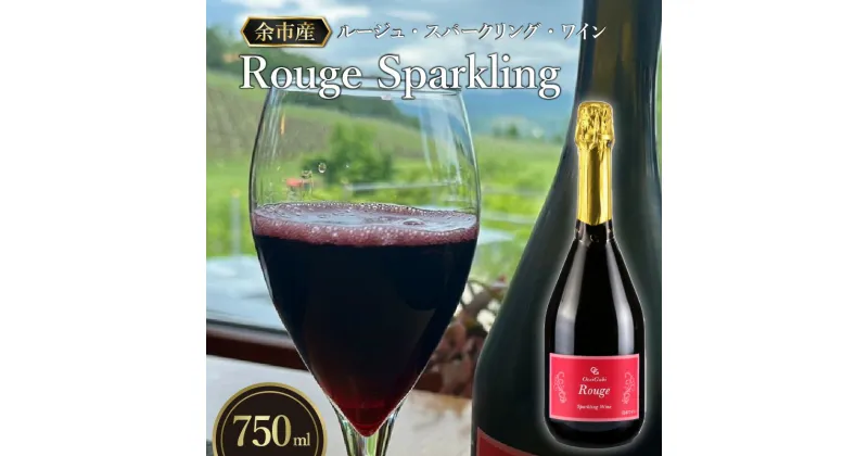 【ふるさと納税】真っ赤な輝きが美しい ルージュ スパークリング 赤ワイン 750ml オチガビワイナリー 北海道 余市町産 ぶどう ワイン アルコール スパークリングワイン 炭酸ガス後充填型 ギフト お祝い お取り寄せ 送料無料