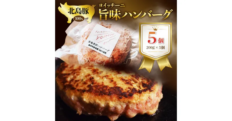 【ふるさと納税】北島豚100％使用！ヨイッチーニ旨味ハンバーグ200g×5個〈ヨイッチーニ〉 お取り寄せ 送料無料