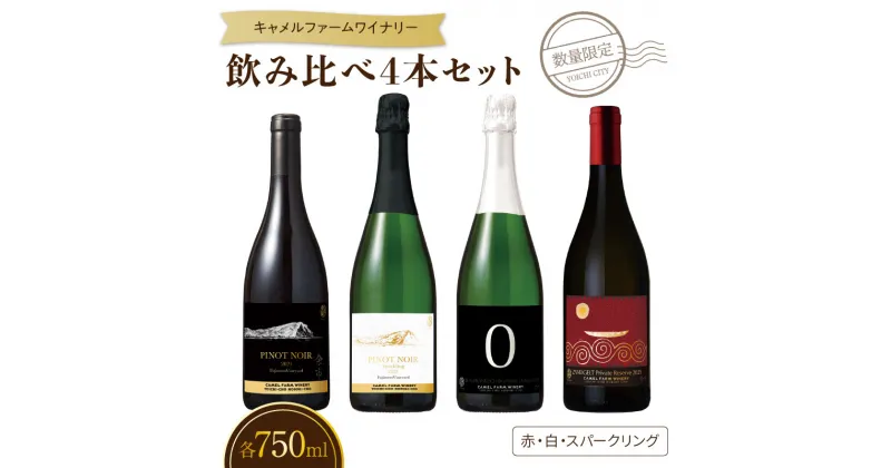 【ふるさと納税】数量限定 750ml×4本セット 飲み比べ【 赤 白 スパークリング入り 】 辛口 中重口 おすすめ 国産 北海道 《 余市キャメルファーム 》 ワイン 飲み比べセット 赤ワイン 白ワイン スパークリングワイン パーティー お祝い ディナー ギフト 余市町 送料無料