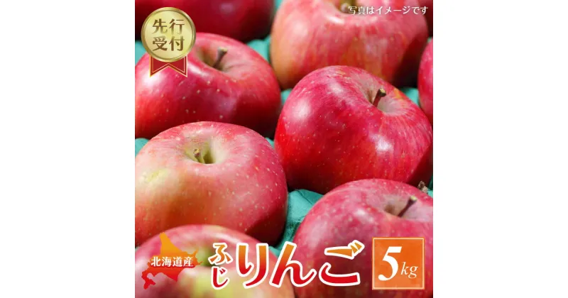 【ふるさと納税】【2024年11月下旬以降発送分先行予約】りんご ふじ 5kg 果物 アップル フルーツ ジュース 飲料 果物 スイーツ ジャム アップルパイ フルーツ スムージー ヨーグルト ジュース タルト お菓子作り ケーキ 飲み物 お取り寄せ 先行予約 北海道 余市町 送料無料