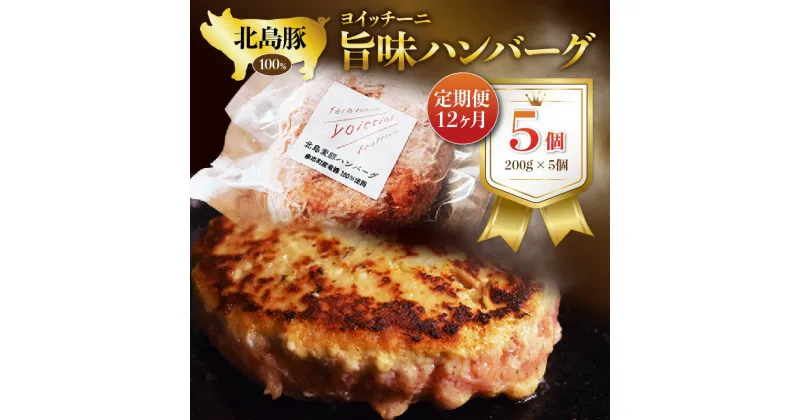 【ふるさと納税】 【 定期便 】 12か月 ヨイッチーニ旨味ハンバーグ 5個 セット ハンバーグ おかず 晩御飯 晩ご飯 ハンバーガー 惣菜 お惣菜 お弁当 贅沢 肉 豚肉 豚 国産 北海道産 冷凍 北海道 余市町 送料無料