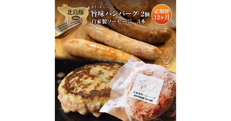 【ふるさと納税】 《 ヨイッチーニ 》 旨味ハンバーグ ・ 自家製ソーセージ 定期便 全12回 ハンバーグ ソーセージ セット 詰め合わせ 豚肉 鹿肉 エゾシカ肉 エゾ鹿肉 サルシッチャ 国産 北海道産 北海道 余市町 送料無料