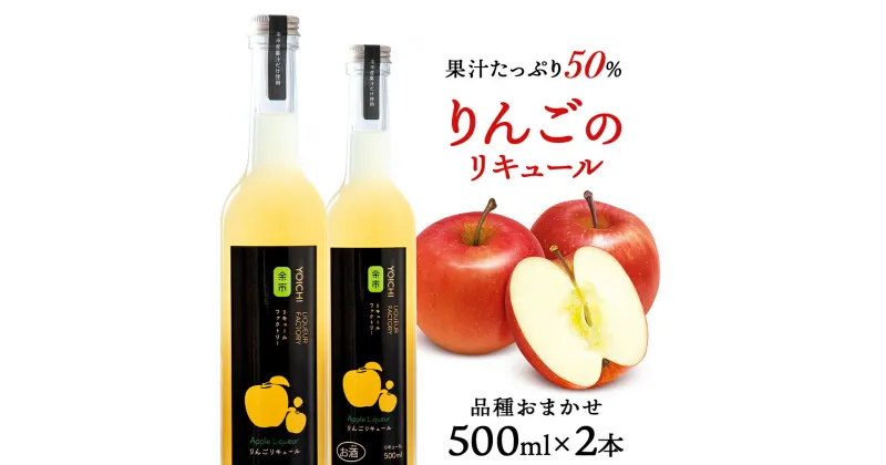 【ふるさと納税】りんごリキュール2本【品種おまかせ】〈余市リキュールファクトリー〉 北海道 余市町 送料無料