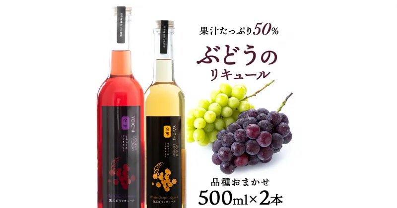 【ふるさと納税】ぶどうリキュール2本【品種おまかせ】〈余市リキュールファクトリー〉 北海道 余市町 送料無料