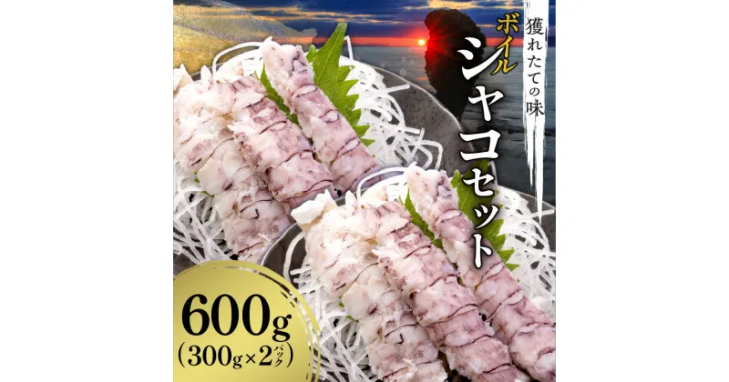 【ふるさと納税】獲れたての味！ ボイルシャコ 300g × 2 パック 甲殻類 魚介類 ボイル 天ぷら 鍋の具 唐揚げ パスタ アヒージョ 寿司ネタ 冷凍 蝦蛄 お取り寄せ 北海道 余市町 送料無料