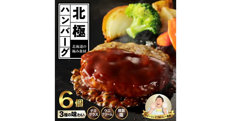 【ふるさと納税】あふれる旨味 極みのソース ハンバーグ 3種 6個 780g 北極ハンバーグ ウニクリーム デミグラスソース 燻製塩 惣菜 ソース 牛肉 豚肉 ブランド豚 北島豚 合挽 温めるだけ 湯煎 レンジ 冷凍 ギフト レトルト お取り寄せ 極み食材 北海道 余市町 送料無料