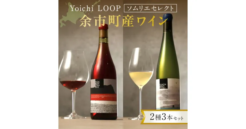 【ふるさと納税】 Yoichi LOOP ソムリエセレクト 余市町産ワイン 2種 3本 セット ワイン 赤ワイン 白ワイン 飲み比べ ワインセット お祝い パーティー 女子会 誕生日 記念日 贈り物 ギフト プレゼント 北海道 余市町 送料無料