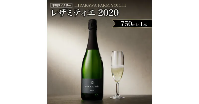 【ふるさと納税】【平川ワイナリー】LES AMITIES BLANC METHODE TRADITIONNELLE レザミティエ 2020ワイン 家飲み 宅飲み おつまみ 贈り物 ギフト プレゼント お取り寄せ 北海道 余市町 送料無料