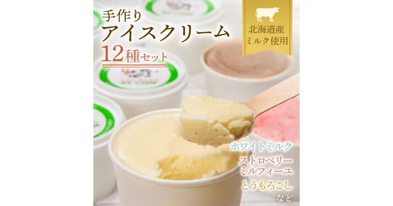 【ふるさと納税】北海道産 南幌町 手作りアイスクリーム 120ml×12個セット(おまかせ詰め合わせ) 道産牛乳使用 スイーツ デザート NP1-023