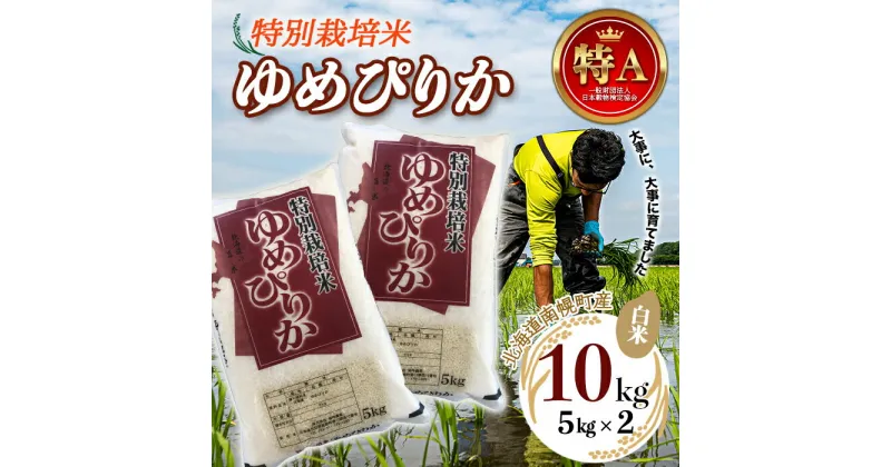 【ふるさと納税】特別栽培米 令和6年産 ゆめぴりか（白米）5kg×2袋 2024年10月発送開始 新米 NP1-408