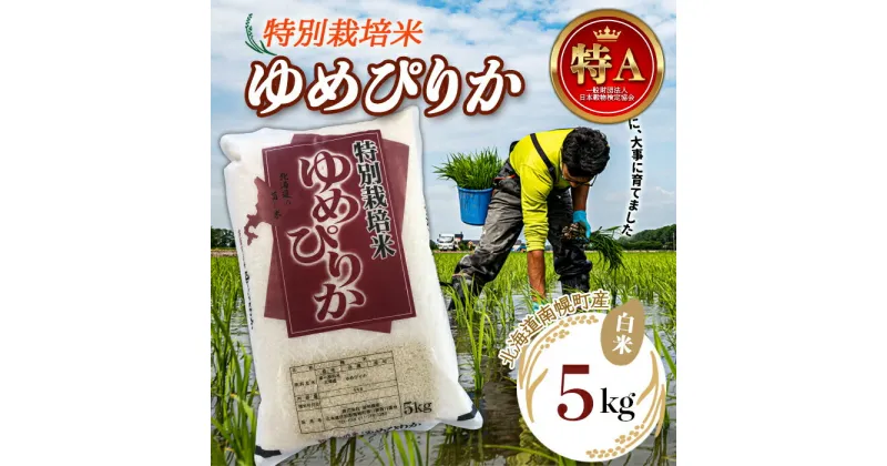 【ふるさと納税】特別栽培米 令和6年産 ゆめぴりか（白米）5kg 2024年10月発送開始 NP1-242