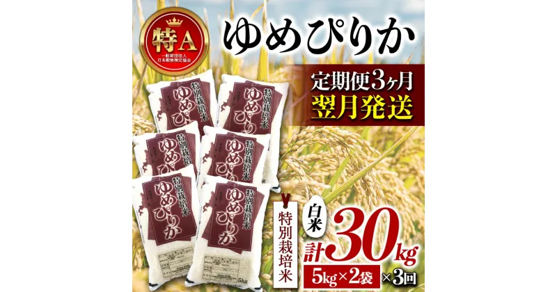 【ふるさと納税】《定期便3カ月》特別栽培米 令和6年産 ゆめぴりか 白米 10kg 翌月発送開始 北海道産 南幌町 特A NP1-411