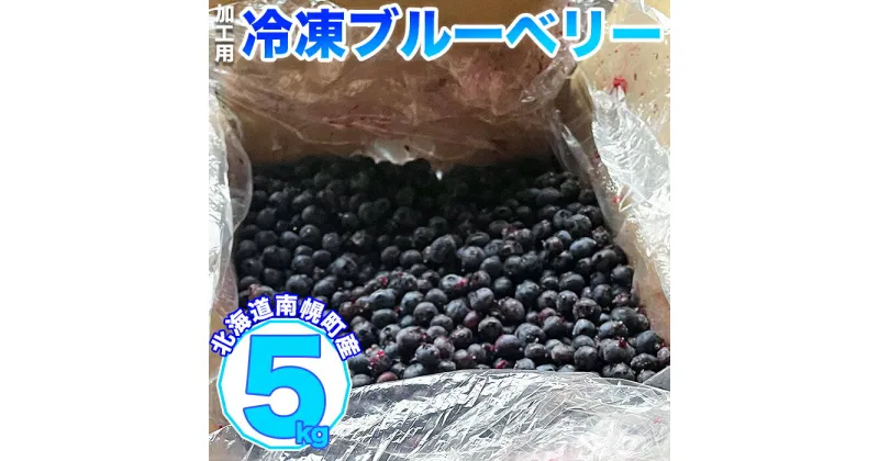 【ふるさと納税】北海道南幌町産 冷凍ブルーベリー 加工用 5kg 7月下旬より発送 JAなんぽろ直送 NP1-345