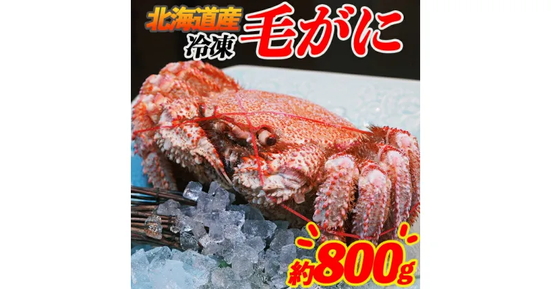 【ふるさと納税】北海道産 毛がに 約800g 北海道産 ボイル済 冷凍 毛ガニ 毛蟹 南幌町 ことぶきや NP1-465