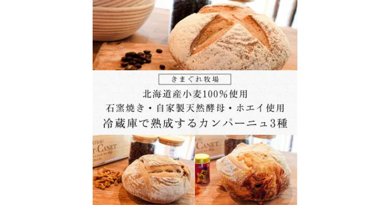 【ふるさと納税】北海道産小麦100%使用、石窯焼き・自家製天然酵母・ホエイ使用の冷蔵庫で熟成するカンパーニュ3種【配送不可地域：離島】【1492845】