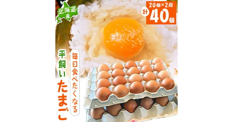 【ふるさと納税】【北海道産】毎日食べたくなる平飼いたまご40個【配送不可地域：離島】【1215857】