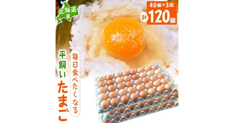 【ふるさと納税】【北海道産】毎日食べたくなる平飼いたまご120個【配送不可地域：離島】【1215862】