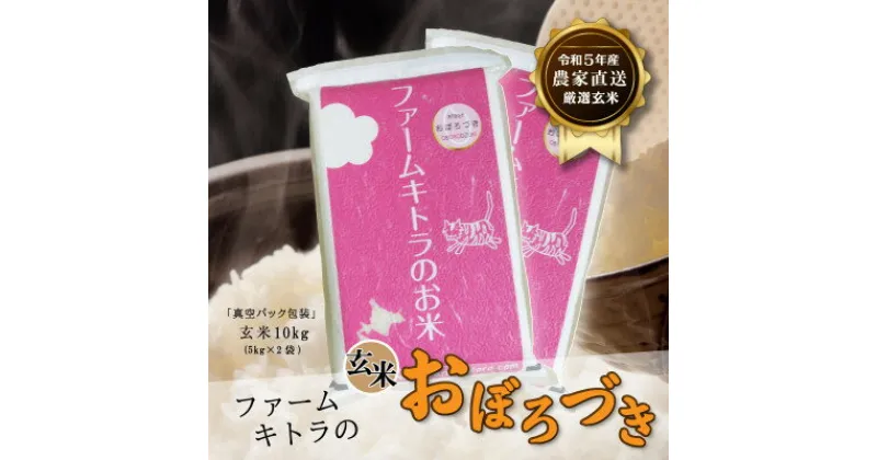 【ふるさと納税】【毎月定期便】おぼろづき玄米 5kg×2袋 全6回【4051307】