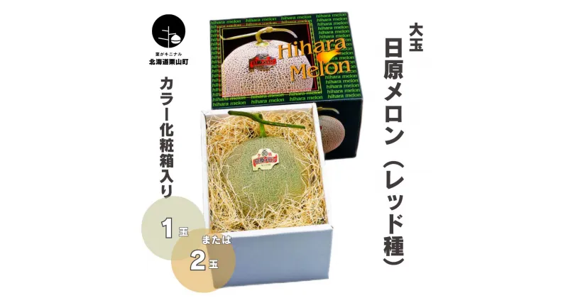 【ふるさと納税】北海道産 大玉「日原メロン（レッド種）」2.0kg相当 カラー化粧箱入り《1玉・2玉》