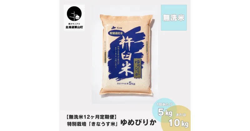 【ふるさと納税】【無洗米12ヶ月定期便】特別栽培「きなうす米」ゆめぴりか《5kg×12回・10kg×12回》