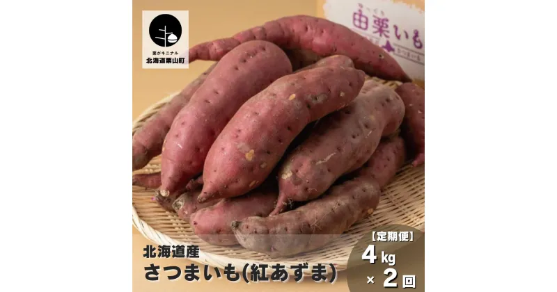 【ふるさと納税】【定期便】北海道産さつまいも「由栗いも」4kg×2回