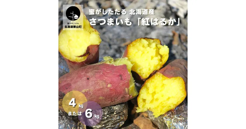 【ふるさと納税】蜜がしたたる北海道産さつまいも「紅はるか」《4kg・6kg》