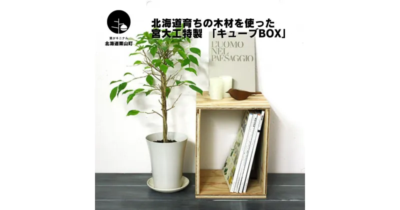 【ふるさと納税】北海道育ちの木材を使った宮大工特製 「キューブBOX 」《サイズ・個数選択可！》