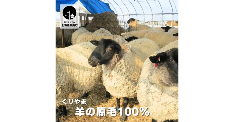 【ふるさと納税】くりやま羊の原毛100％