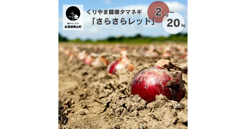 【ふるさと納税】北海道 くりやま健康タマネギ「さらさらレッド」《2kg・5kg・10kg・20kg》