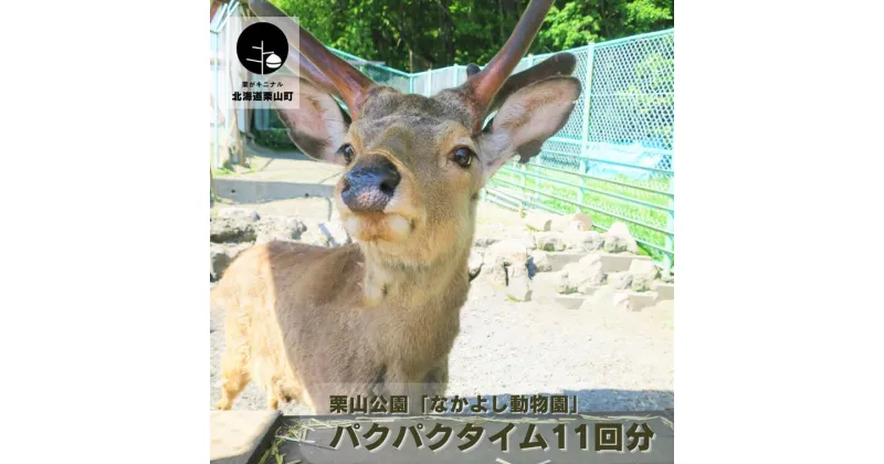 【ふるさと納税】栗山公園「なかよし動物園」パクパクタイム回数券 6回分 《2枚セット・3枚セット・御大師山トリプルかき氷付き》