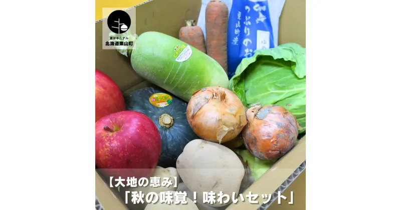 【ふるさと納税】大地の恵み 「秋の味覚！味わいセット」