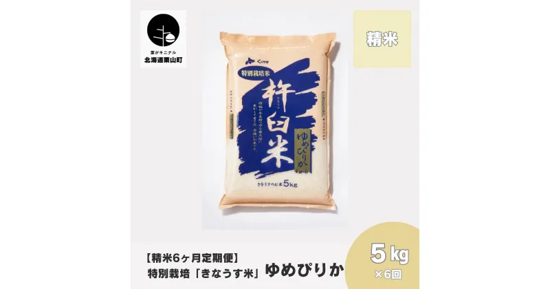 【ふるさと納税】【精米6ヶ月定期便】特別栽培「きなうす米」ゆめぴりか5kg×6回