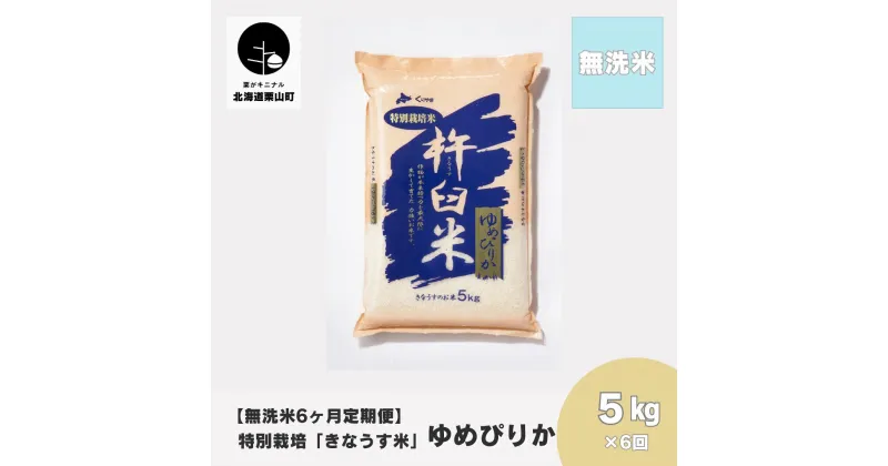 【ふるさと納税】【無洗米6ヶ月定期便】特別栽培「きなうす米」ゆめぴりか5kg×6回