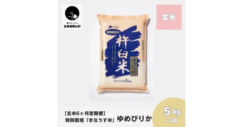 【ふるさと納税】【玄米6ヶ月定期便】特別栽培「きなうす米」ゆめぴりか5kg×6回