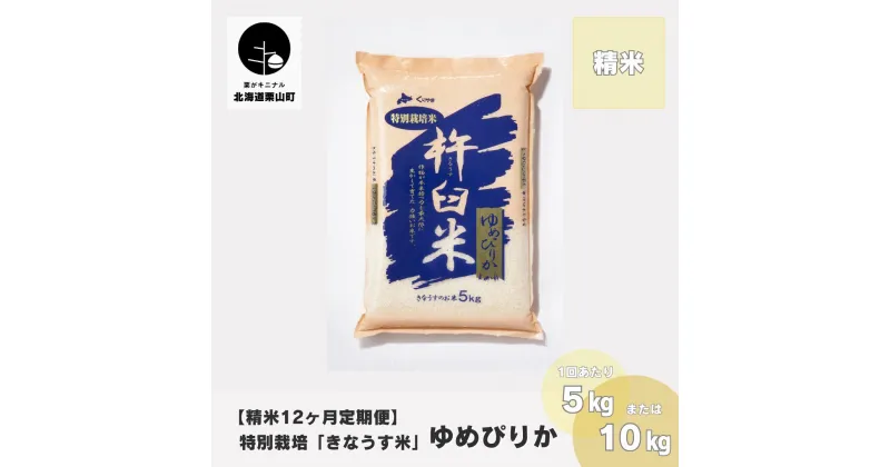 【ふるさと納税】【精米12ヶ月定期便】特別栽培「きなうす米」ゆめぴりか《5kg×12回・10kg×12回》