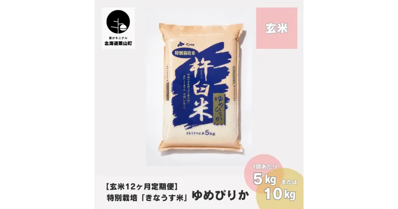 【ふるさと納税】【玄米12ヶ月定期便】特別栽培「きなうす米」ゆめぴりか《5kg×12回・10kg×12回》