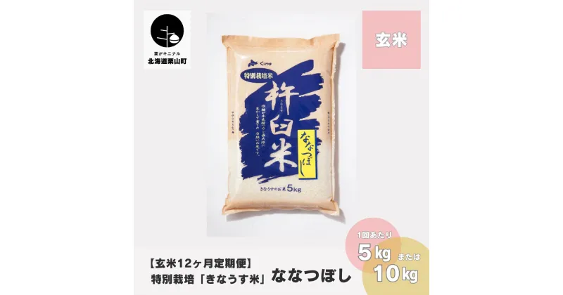 【ふるさと納税】【玄米12ヶ月定期便】特別栽培「きなうす米」ななつぼし《5kg×12回・10kg×12回》