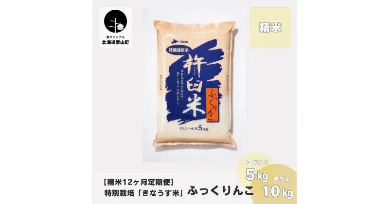 【ふるさと納税】【精米12ヶ月定期便】特別栽培「きなうす米」ふっくりんこ《5kg×12回・10kg×12回》