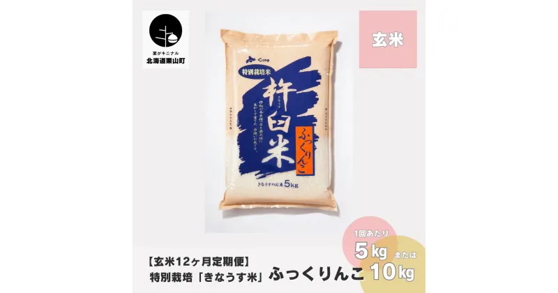 【ふるさと納税】【玄米12ヶ月定期便】特別栽培「きなうす米」ふっくりんこ《5kg×12回・10kg×12回》