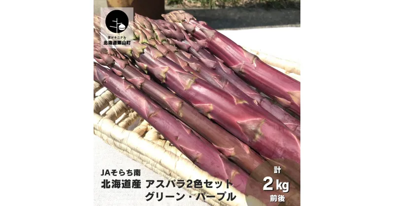 【ふるさと納税】【先行予約】春一番！JAそらち南の味覚「アスパラ2色セット」グリーン・パープル計2kg前後