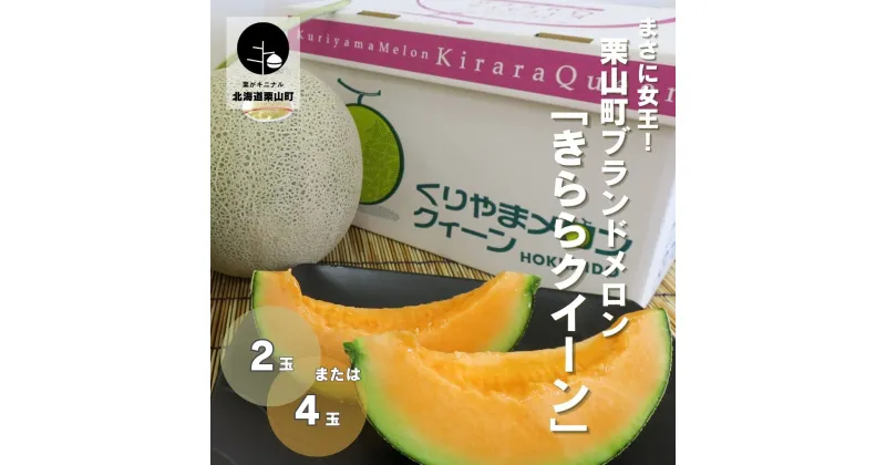 【ふるさと納税】【先行予約】まさに女王！北海道栗山町ブランドメロン「きららクイーン」《2玉・4玉》