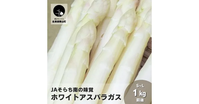 【ふるさと納税】【先行予約】JAそらち南の味覚「ホワイトアスパラガス」S～L　1kg前後