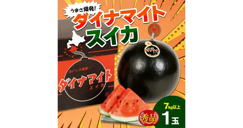 【ふるさと納税】北海道 ダイナマイトスイカ 秀品 1玉 約7kg以上 スイカ すいか 西瓜 黒皮 黒スイカ 果物 フルーツ 旬 希少 貴重 甘い 国産 産地直送 ギフト お祝い 贈答品 贈り物 日持ち 常温 お取り寄せ 送料無料　月形町　お届け：7月中旬～8月初旬