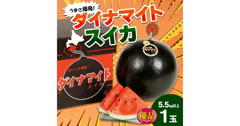 【ふるさと納税】北海道 ダイナマイトスイカ 優品 1玉 約5.5kg以上 スイカ すいか 西瓜 黒皮 黒スイカ 果物 フルーツ 旬 希少 貴重 甘い 国産 産地直送 ギフト お祝い 贈答品 贈り物 日持ち お取り寄せ 送料無料　月形町　お届け：7月中旬～8月初旬頃まで